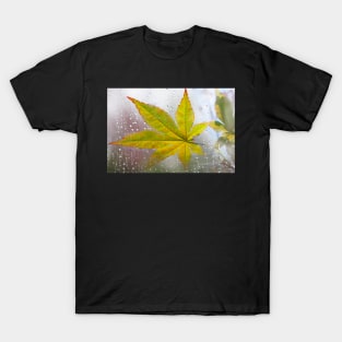 Maple Leaf in Autumn Day T-Shirt